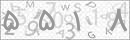کد 4 رقمی تصویر را صحیح وارد کنید