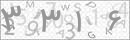 کد 4 رقمی تصویر را صحیح وارد کنید