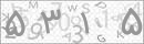 کد 4 رقمی تصویر را صحیح وارد کنید