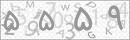 کد 4 رقمی تصویر را صحیح وارد کنید